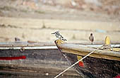 Varanasi - the ghats